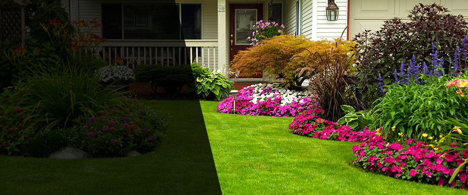 Westmont Landscapers